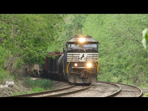 NS 6958 x-NS 6594 Leads 11R
