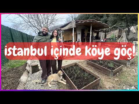 İstanbul'un İçinde Köye Göç.. Şehirde Sadece Sıra Bekliyormuşuz! Şile'de Köy Hayatı Olur mu?