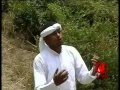 Taddalaa Gammachuu Birrolee Oromo Music