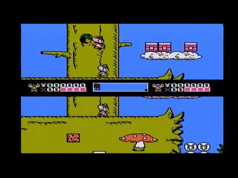 マッピーキッズ