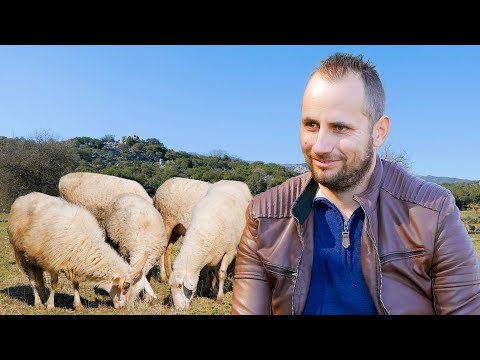 , title : 'Η ζωή ενός κτηνοτρόφου στα βουνά της Ελλάδας | Σπάνια πρόβατα, άγρια ομορφιά και αισιοδοξία ‍🇬🇷'