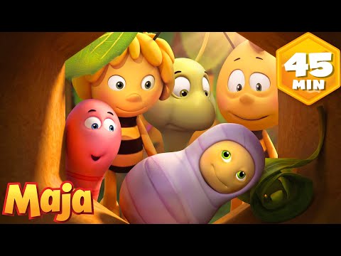 Maja entdeckt Geburtstagsgeheimnisse 🎂 🐝  Biene Maja | Zeichentrick für Kinder