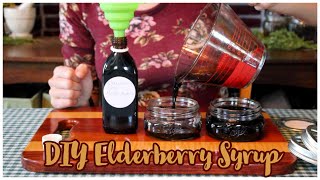 How to make Elderberry Syrup: A sweet and simple recipe!