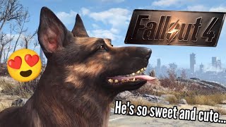 Dogmeat is so sweet and cute, he tries to comfort Cait while she's in pain... 🥹❤️