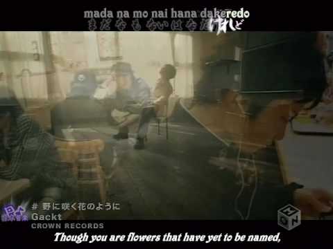 Gackt - No ni Saku Hana no You Ni (with lyrics)