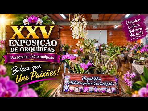 Uma Exposição de Orquídeas que Vale a Pena Conhecer | Paraopeba e Caetanópolis