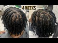 First Retwist On Two Strand Twist Starter Locs Talk Through Technique Loctician
