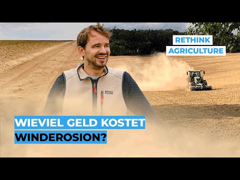 Wie viel Geld kostet Winderosion?