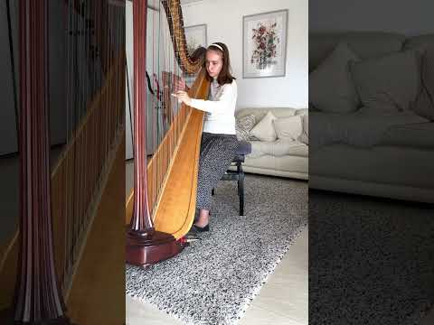 Avigail Cheremnina - Bernard Andres - Jonchets (No 3)