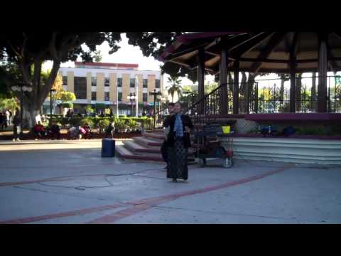 Tijuana Parque Teniente Guerrero -  Norma La Cachanilla