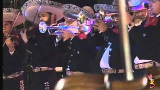 Alejandro Fernández - Estuve