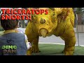 Triceratops Snorts Best Of Dino Dan