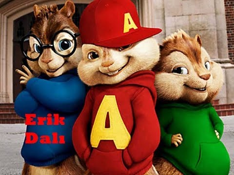 Erik Dalı Gevrektir (Alvin ve sincaplar)...