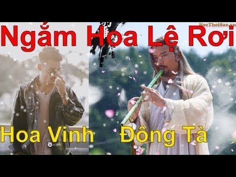 Ngắm Hoa Lệ Rơi ★ Hoa Vinh, Châu Khải Phong | Đông Tà Hoàng Dược Sư Remix - Master of Flute