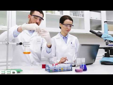 Das „Nacktmull-Phänomen