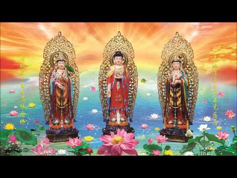 Tập 02 - Kinh Quán Vô Lượng Thọ Sớ Sao Diễn Nghĩa | Lão Pháp Sư Tịnh Không