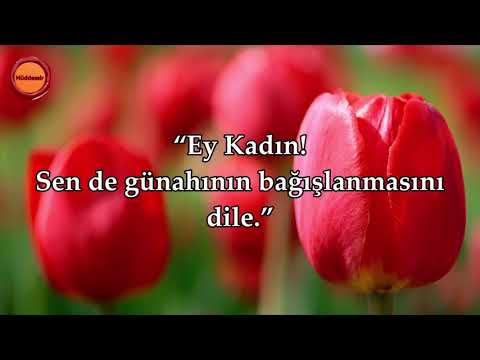 Yusuf Suresi - Nasser al Qatami