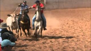 preview picture of video 'Tigrão - Cavalo de Gado Correndo na pista de Barro Alto - GO'