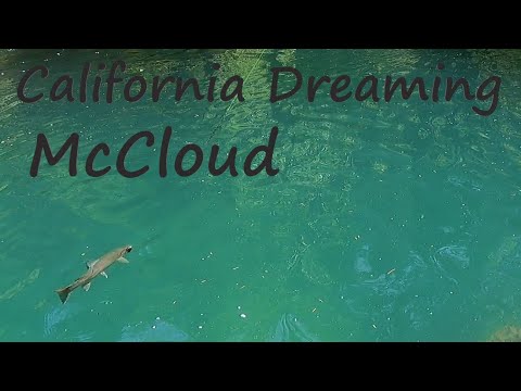 California Dreaming McCloud