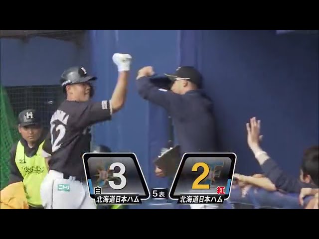 【ファイターズ春季キャンプ】支配下再登録へ!! ファイターズ・高濱がレフトへ豪快な一発で猛アピール!! 2020/2/8