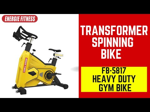 FB-5817 Spinning Bike