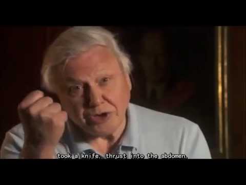 The Genius of Britain: THE FIRST FIVE--- Christopher Wren