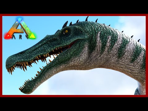 YouTube video about: Where to get raw prime fish meat ark?