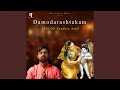 Damodarashtakam