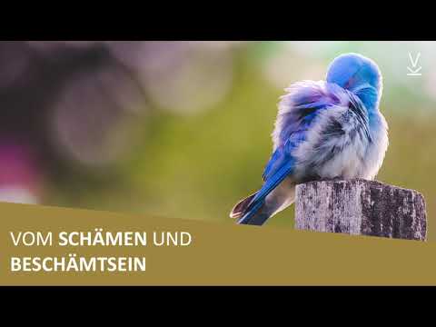 Toxische Scham | Vom Schämen und Beschämtsein // Podcast #36