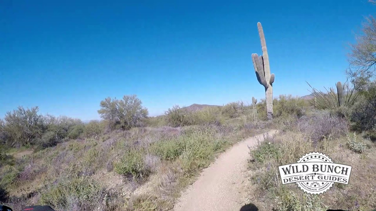 Wild Bunch Desert Guides in the McDowell Sonoran Preserve, Scottsdale, AZ - Part 1