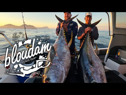 Epic Tuna Fishing in Cape Town, South Africa! (2024) - Part 1