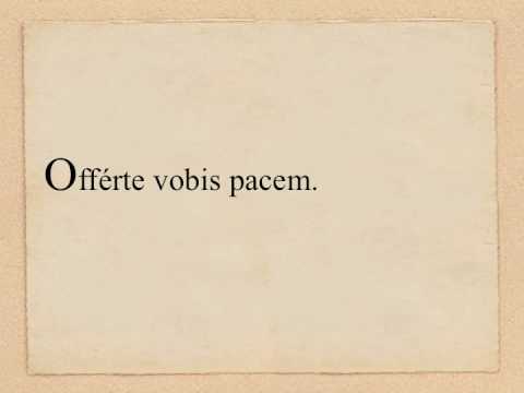 Offerte vobis pacem