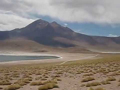 Laguna Miscanti e Miñiques - Chile | Viajante Ni