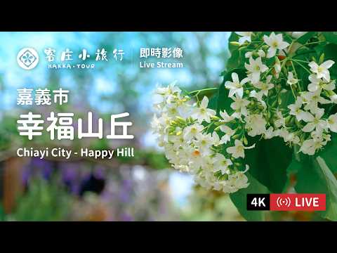 嘉義市幸福山丘即時影像
