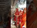 O Maiya Singar Tera Lal Hai