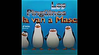 Download lagu Madagascar penguin meme #madagascar #meme mp3 Download lagu Madagascar penguin meme #madagascar #meme mp3