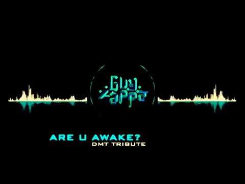 GuyZapPa - Are U Awake? (DMT Tribute)