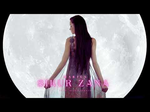 Marjus Ferati feat. Aleks Ferati - Sikur Zana