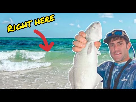 Pensacola Surf Fishing....Beach Blitz....Huge School of Fish #saltwaterfishing