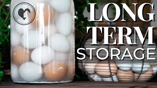 How to Water Glass Eggs For Long-Term Storage