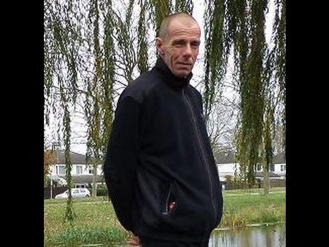 paar foto`s van hoogvliet meeuwenplaat