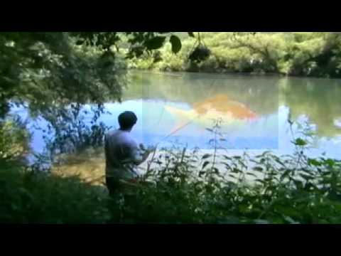 Seid Memic Vajta, Zlatna ribica