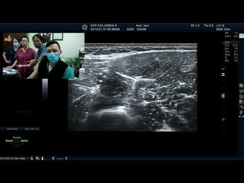 Live Stream of Upper Limb Part I US with Dr. Heakyung Kim