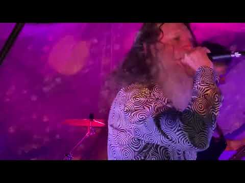 The Spivs - “What You Really Like”