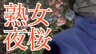 【熟女夜桜】村のおじさん達と人力車