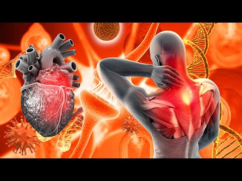 Alpha Waves Heal Heart And Blood Vessel, Your Body Will Have Clear Changes,Full Body Massage (432Hz)