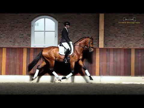 DC 10  Dynamic Dream X Escolar