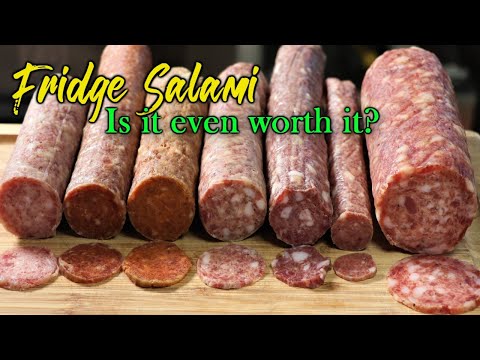Making Salami in a House Fridge - Is it even worth it?