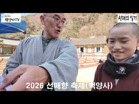 [선재의 일기260328] [실시간] 2026 백양사 선매향 축제 개막! 🌸 고불매 향기에 취하고 선물도 받아가세양! 📸 BTN과 함께하는 선매향 축제 현장 스케치