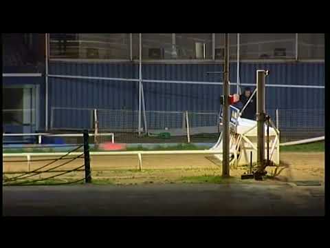 Swansalona Diva   William Hill St Leger 1st 14 Final   Wimbledon